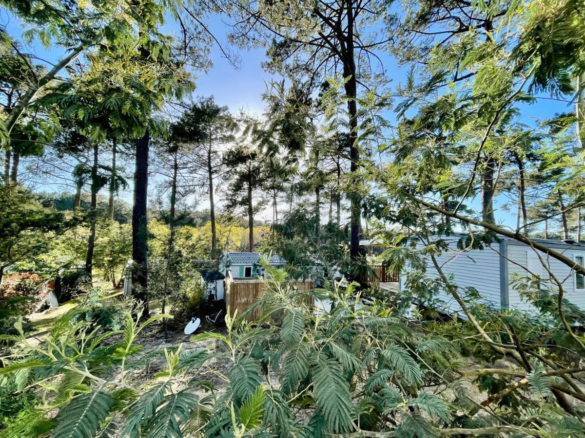 Tiny House Famille Nature Cap Ferret Claouey Eksteriør billede